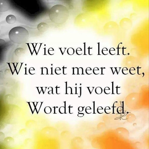 Quote met de tekst: ‘Wie voelt leeft. Wie niet meer weet wat hij voelt wordt geleefd.'